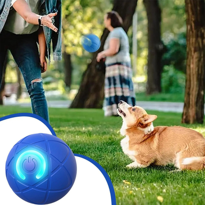 PLAYPULSE – Interaktiver Hundeball