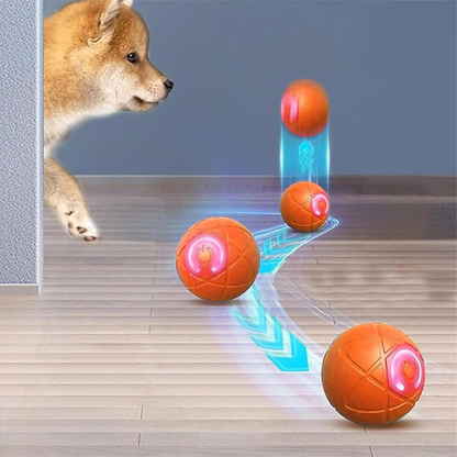 PLAYPULSE – Interaktiver Hundeball