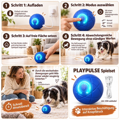 PLAYPULSE – Interaktiver Hundeball